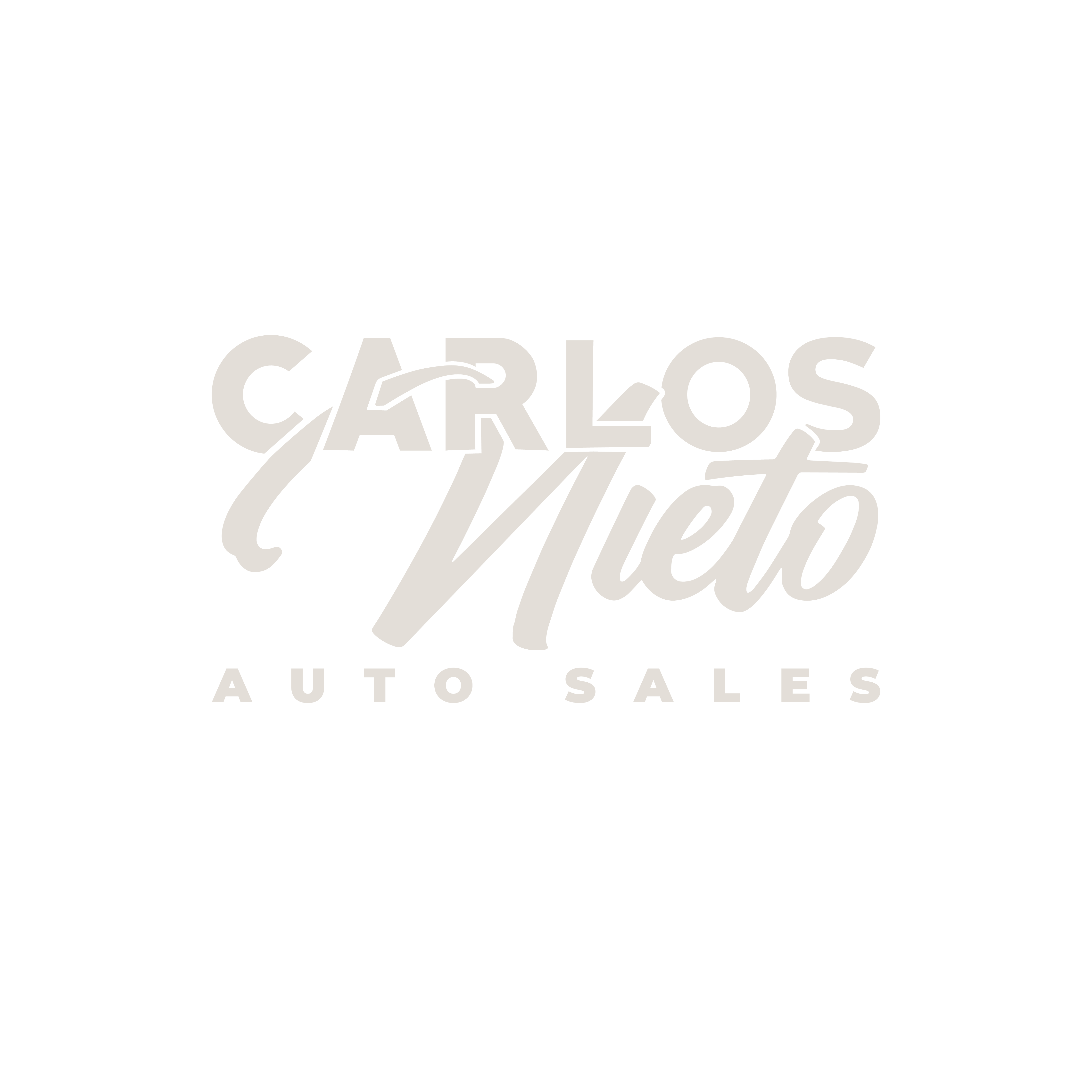 Carlos Nieto Auto Sales